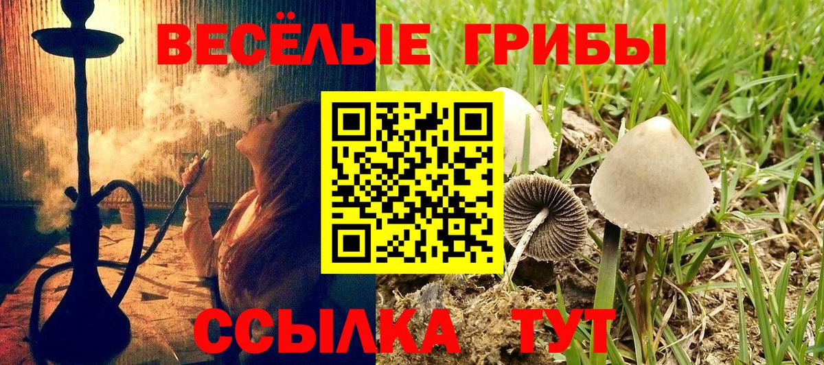 Галлюциногенные грибы GOLDEN TEACHER Нововоронеж