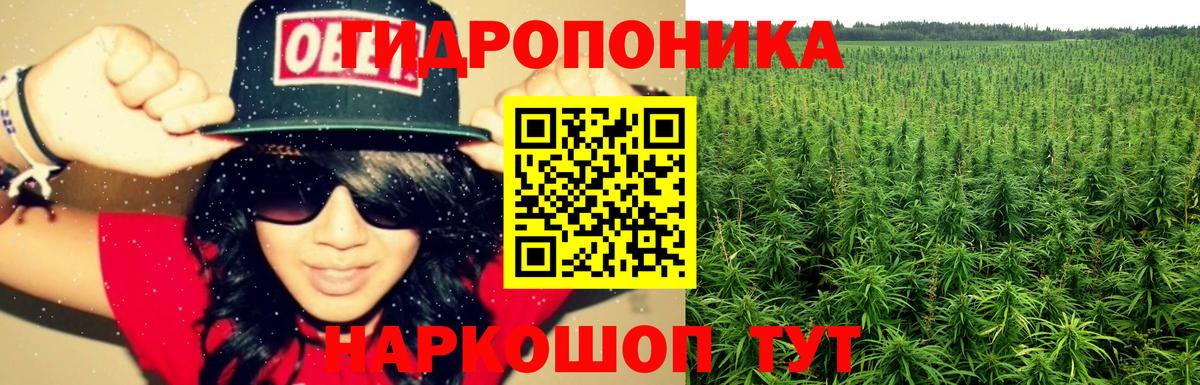 Конопля ГИДРОПОН Нововоронеж